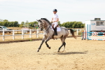 SBM_003309