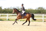 SBM_003687