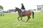 BPP_6606