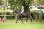 SBM_73807