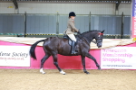 SBM_06211