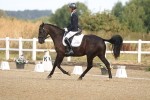SBM_008449