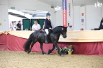 SBM_23830