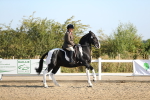 SBM_01271