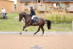 Sunday 14th - Huish Ring portfolio