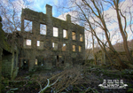 Griffe Mill 9
