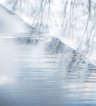 MORNING REFLECTIONS - LONG POINT BEACH
