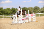 SBM_001308