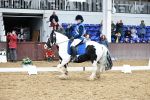 SBM_010173