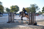 SBM_14031
