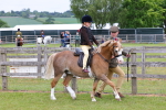 SBM_08103