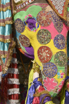 Decorated Elephant