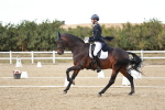 SBM_007338