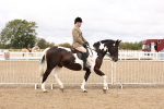 SBM_02807