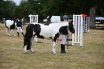 WJ6_4385