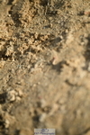251004A-164657-02210