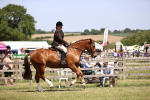 SBM_17720