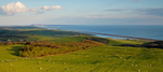 View from Abbotsbury Hill