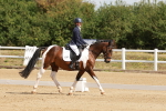 SBM_000385
