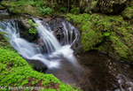 The REAL Emerald Falls