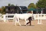 SBM_03385