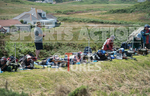 Full Boar Inter-insula_2014-29