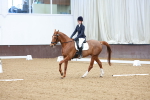 SBM_003462