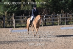 BPP_8404