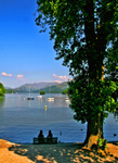Twos Company Windermere