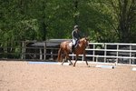 WJ6_7664