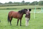 MBRC Junior Ring June 2015 portfolio