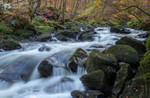 Afon Clywedog