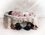 Brinley_059