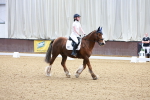 SBM_007633
