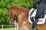 401-BLING-Laura_Collett-DR portfolio
