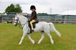 SBM_08656
