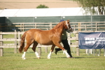 SBM_10486