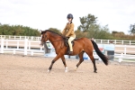 SBM_09028
