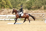 SBM_002561