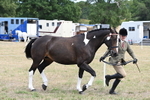 WJ6_5863