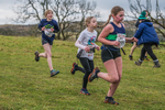 Cunswick U13-66
