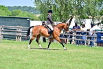 SBM_17385