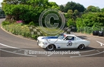 Jsy Classic Hill-329
