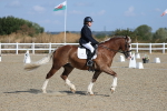 SBM_020241