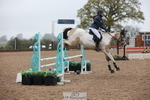223-Erin.Alys.Marriott-RATHMORRISSEY.LADY.GWEN portfolio