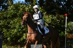 213-MGH.HILDARE.HARLEQUIN-Danielle.Mccormack-XC portfolio