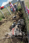 West Show_2014-26