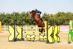 SBM_002272
