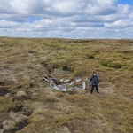 Kinder Res