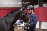 BPP_1585